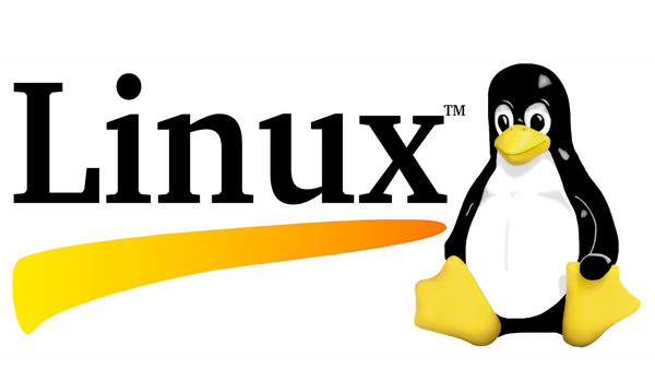 Cloud Hosting Linux