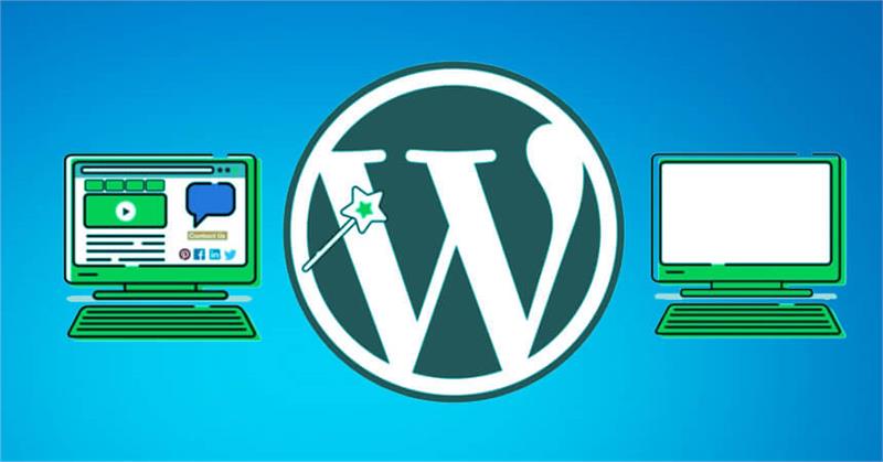 Hosting và SEO có ảnh hưởng đến nhau không ?