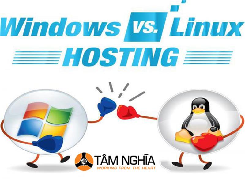 Nên thuê hosting hay tự xây dựng hệ thống server hosting