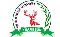 HTX SẢN XUẤT KINH DOANH THÀNH SƠN